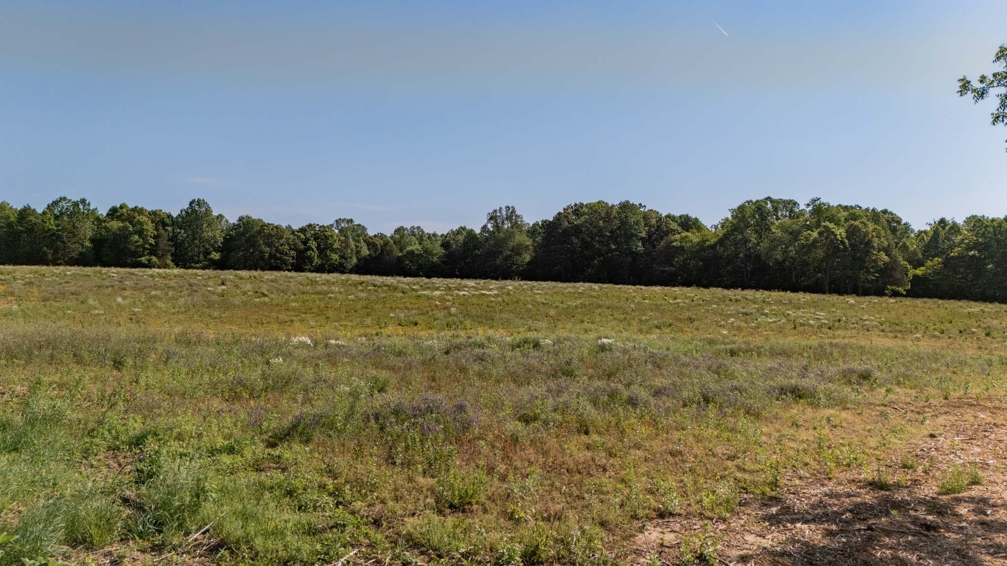 520 Ferrell Road Smithville TN 37166
