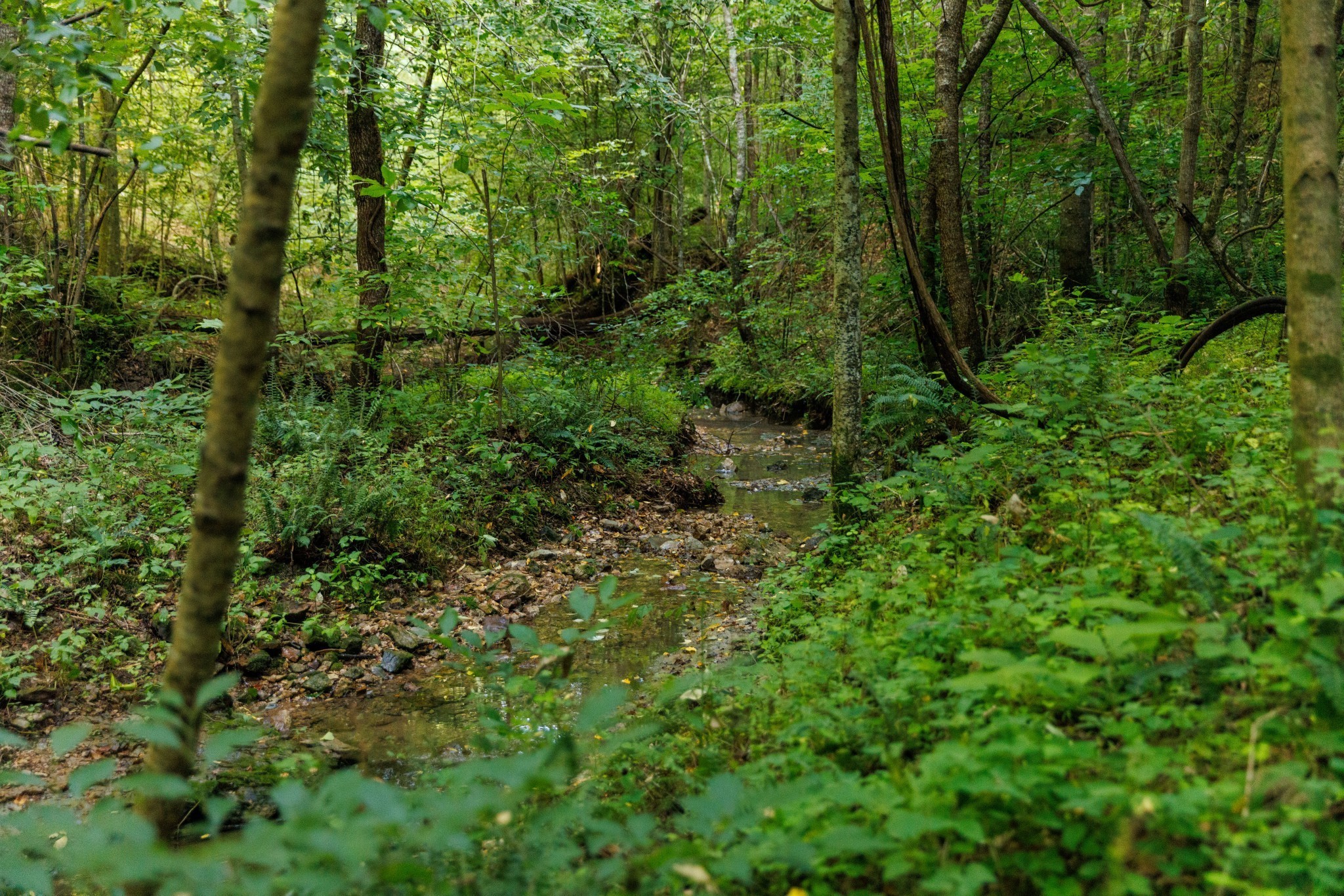 7365 Coldwater Road Fairview TN 37062
