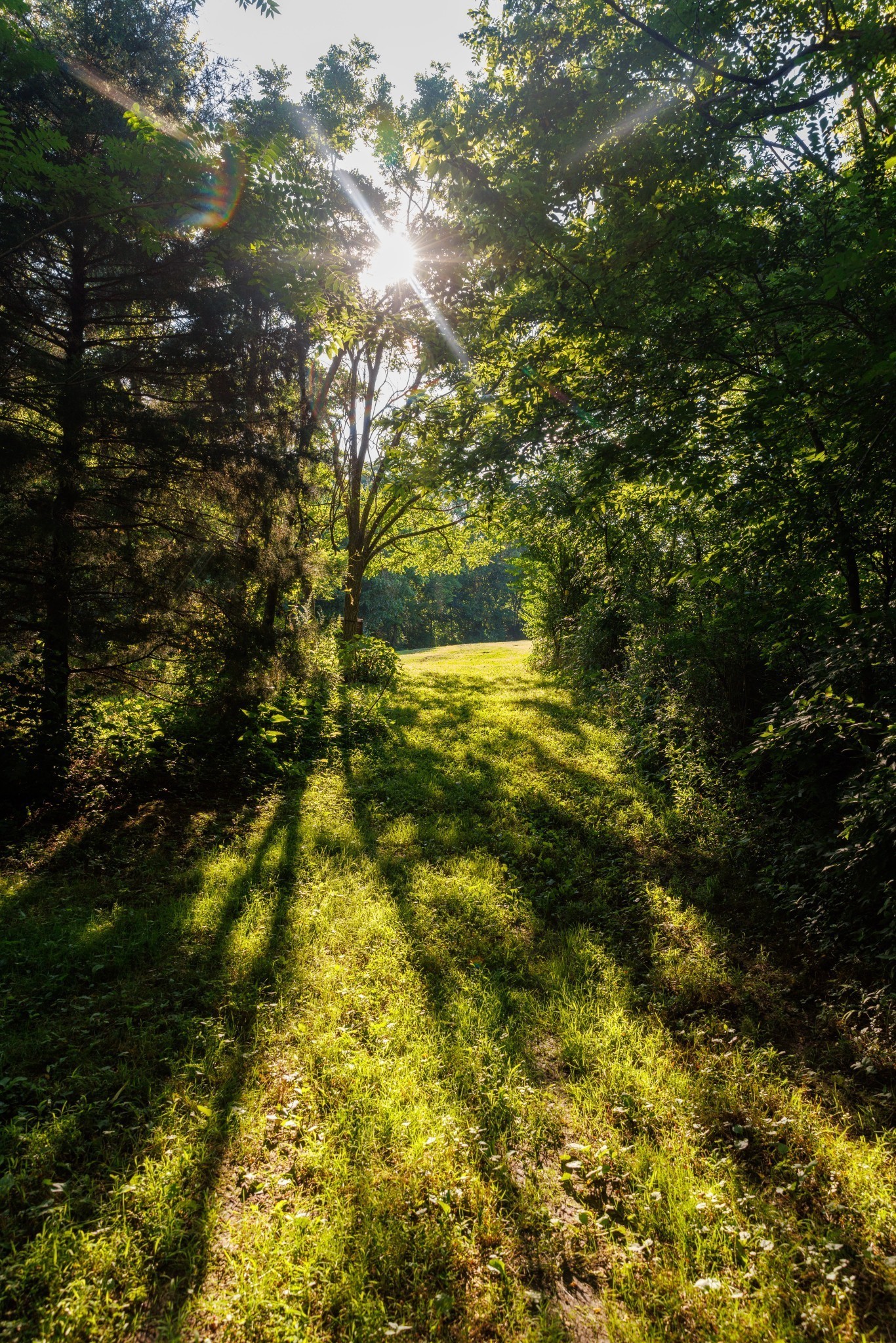 7365 Coldwater Road Fairview TN 37062