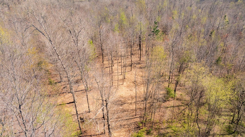 7365 Coldwater Road Fairview TN 37062