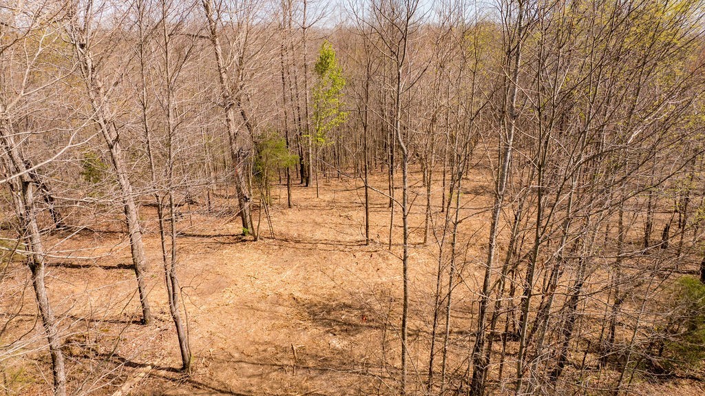 7365 Coldwater Road Fairview TN 37062