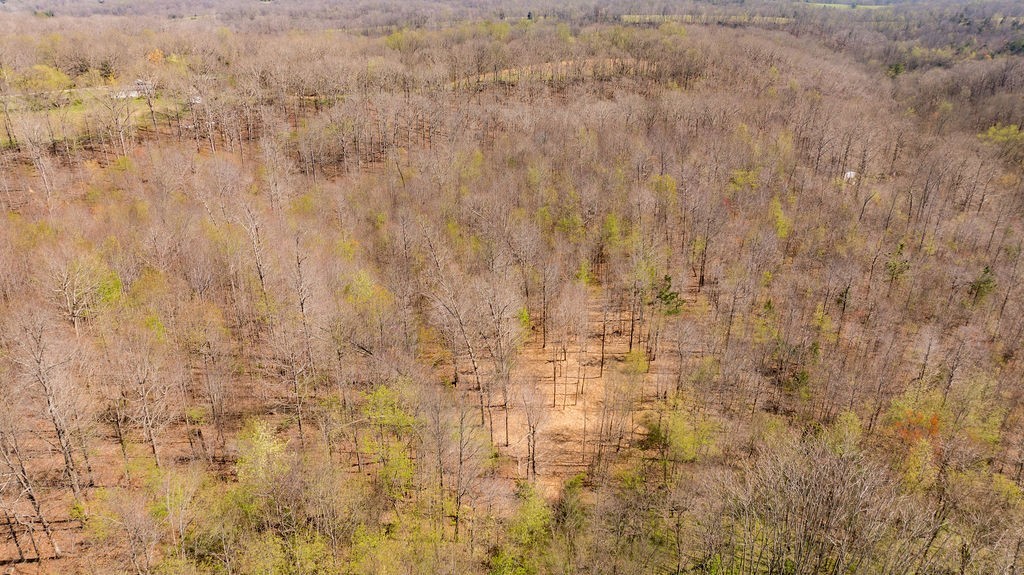 7365 Coldwater Road Fairview TN 37062