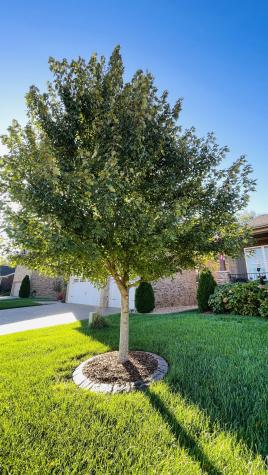 6013 Whitwort Drive Mount Juliet TN 37122