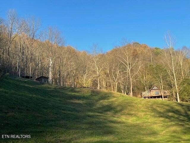 360 Spurlock Hollow Lane Gainesboro TN 38562