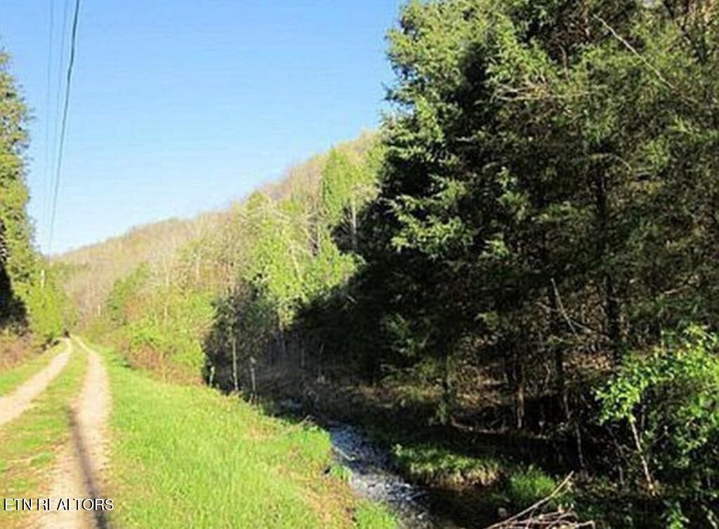 360 Spurlock Hollow Lane Gainesboro TN 38562