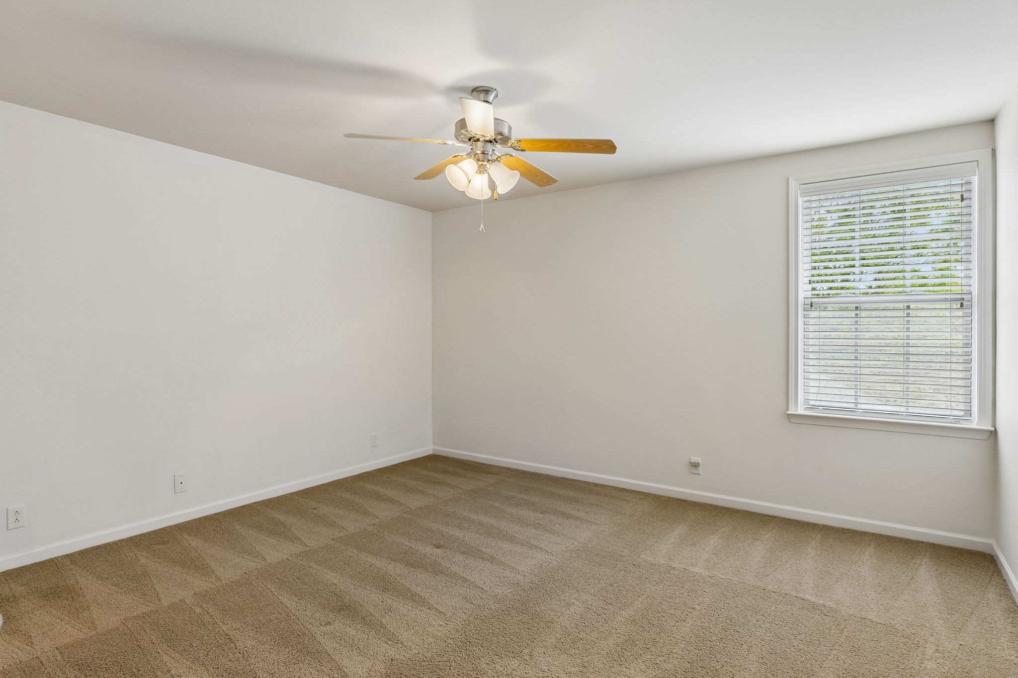217 Whiteamore Run Murfreesboro TN 37128