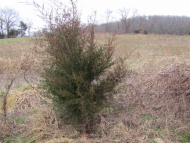 0 Anderson Road Byrdstown TN 38549