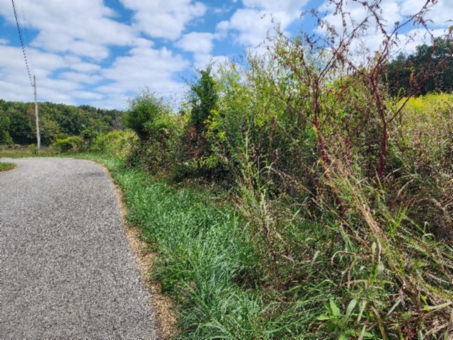 0 Anderson Road Byrdstown TN 38549