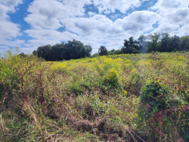 0 Anderson Road Byrdstown TN 38549