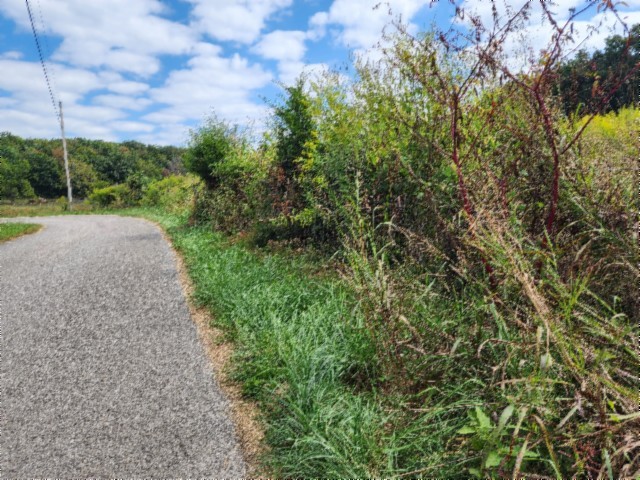 0 Anderson Road Byrdstown TN 38549