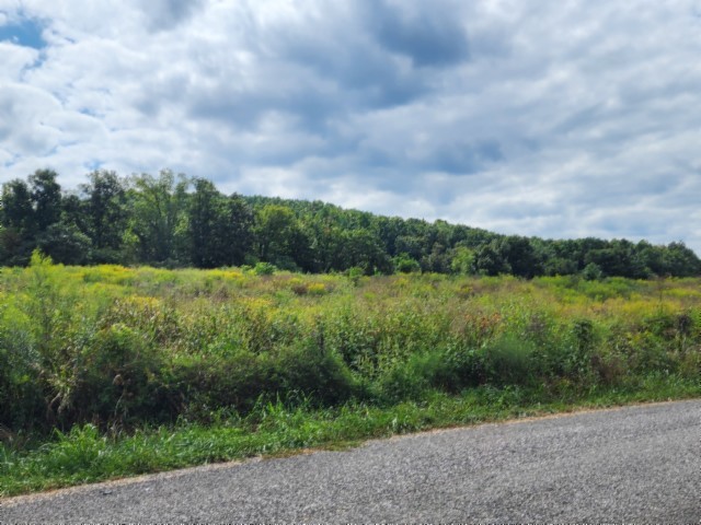 0 Anderson Road Byrdstown TN 38549