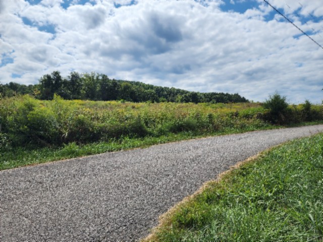 0 Anderson Road Byrdstown TN 38549