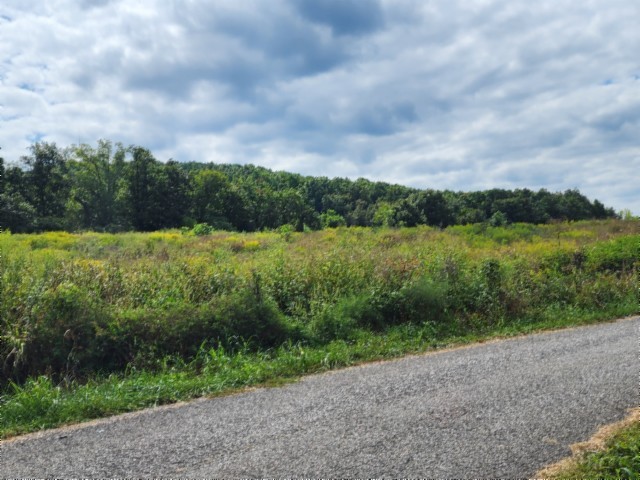 0 Anderson Road Byrdstown TN 38549
