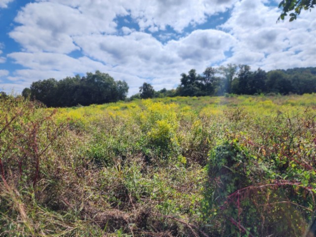 0 Anderson Road Byrdstown TN 38549