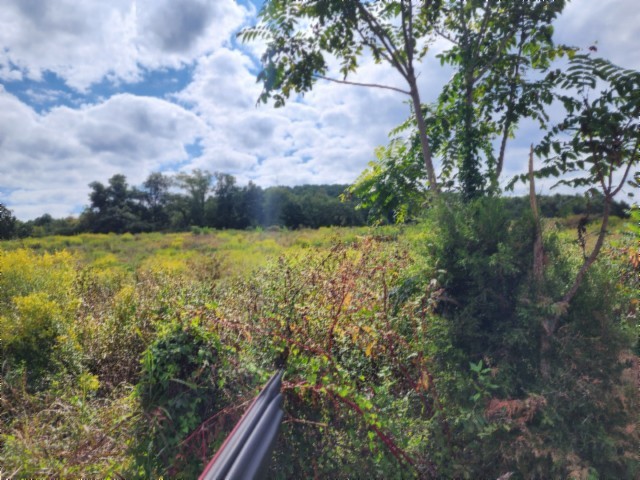 0 Anderson Road Byrdstown TN 38549