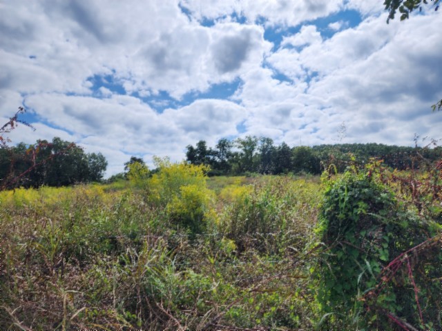 0 Anderson Road Byrdstown TN 38549