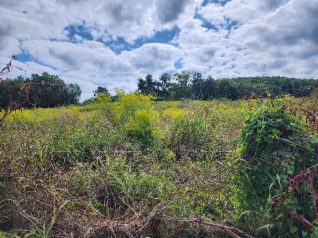 0 Anderson Road Byrdstown TN 38549