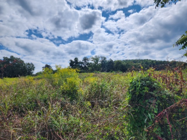 0 Anderson Road Byrdstown TN 38549