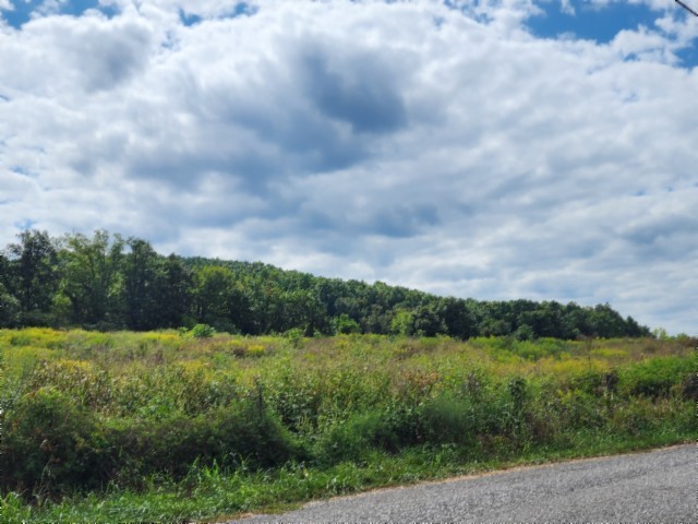 0 Anderson Road Byrdstown TN 38549