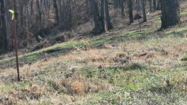 0 Lord Botetourt Court Baxter TN 38544