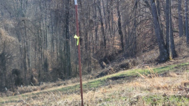 0 Lord Botetourt Court Baxter TN 38544