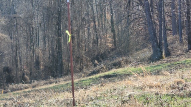 0 Lord Botetourt Court Baxter TN 38544