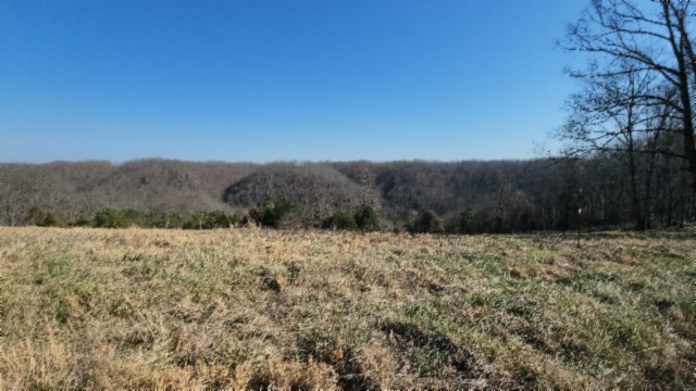 0 Lord Botetourt Court Baxter TN 38544