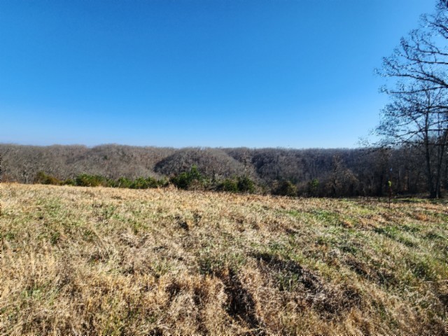 0 Lord Botetourt Court Baxter TN 38544