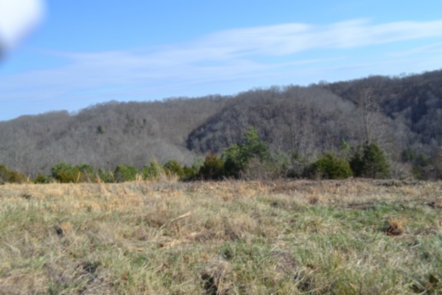 0 Lord Botetourt Court Baxter TN 38544