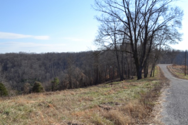 0 Lord Botetourt Court Baxter TN 38544