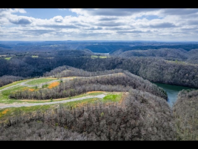 0 Lord Botetourt Court Baxter TN 38544