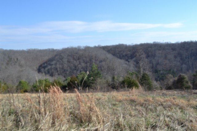 0 Lord Botetourt Court Baxter TN 38544