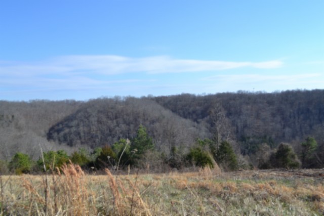 0 Lord Botetourt Court Baxter TN 38544