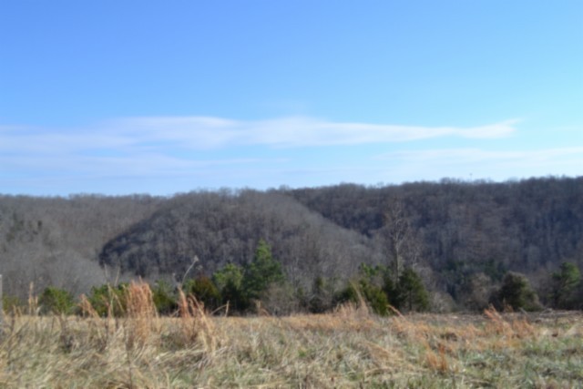 0 Lord Botetourt Court Baxter TN 38544