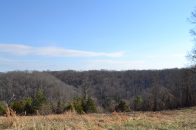 0 Lord Botetourt Court Baxter TN 38544