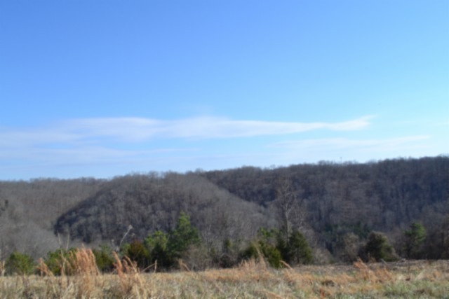 0 Lord Botetourt Court Baxter TN 38544