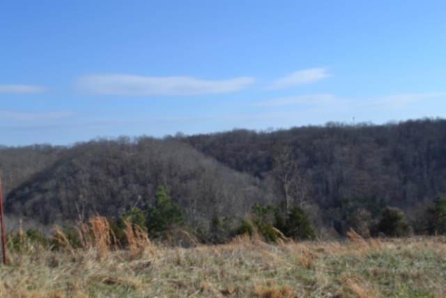 0 Lord Botetourt Court Baxter TN 38544
