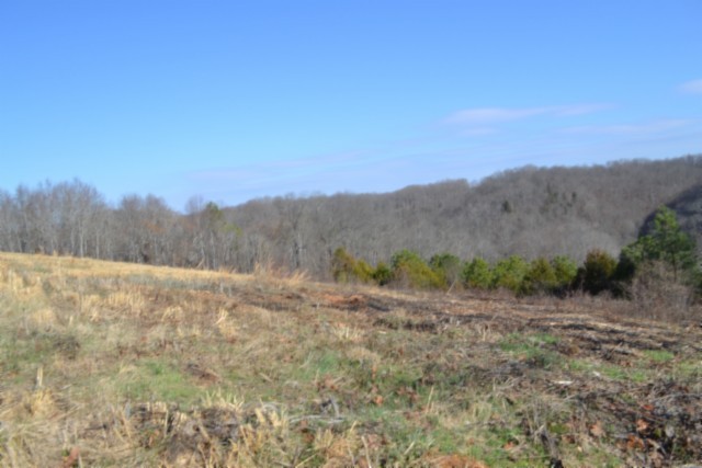 0 Lord Botetourt Court Baxter TN 38544