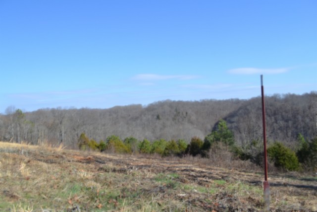 0 Lord Botetourt Court Baxter TN 38544