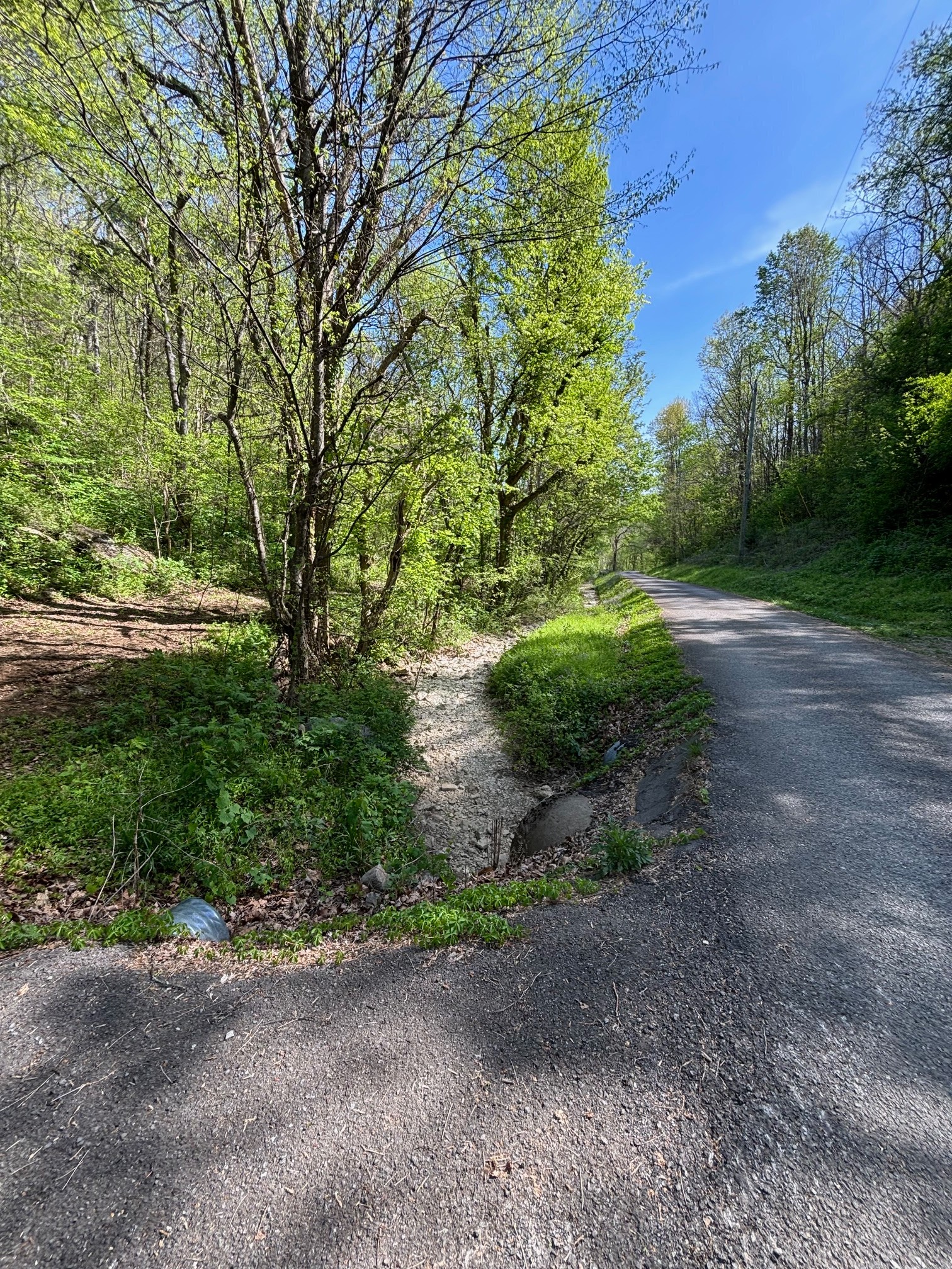 7792 Burns Road Christiana TN 37037