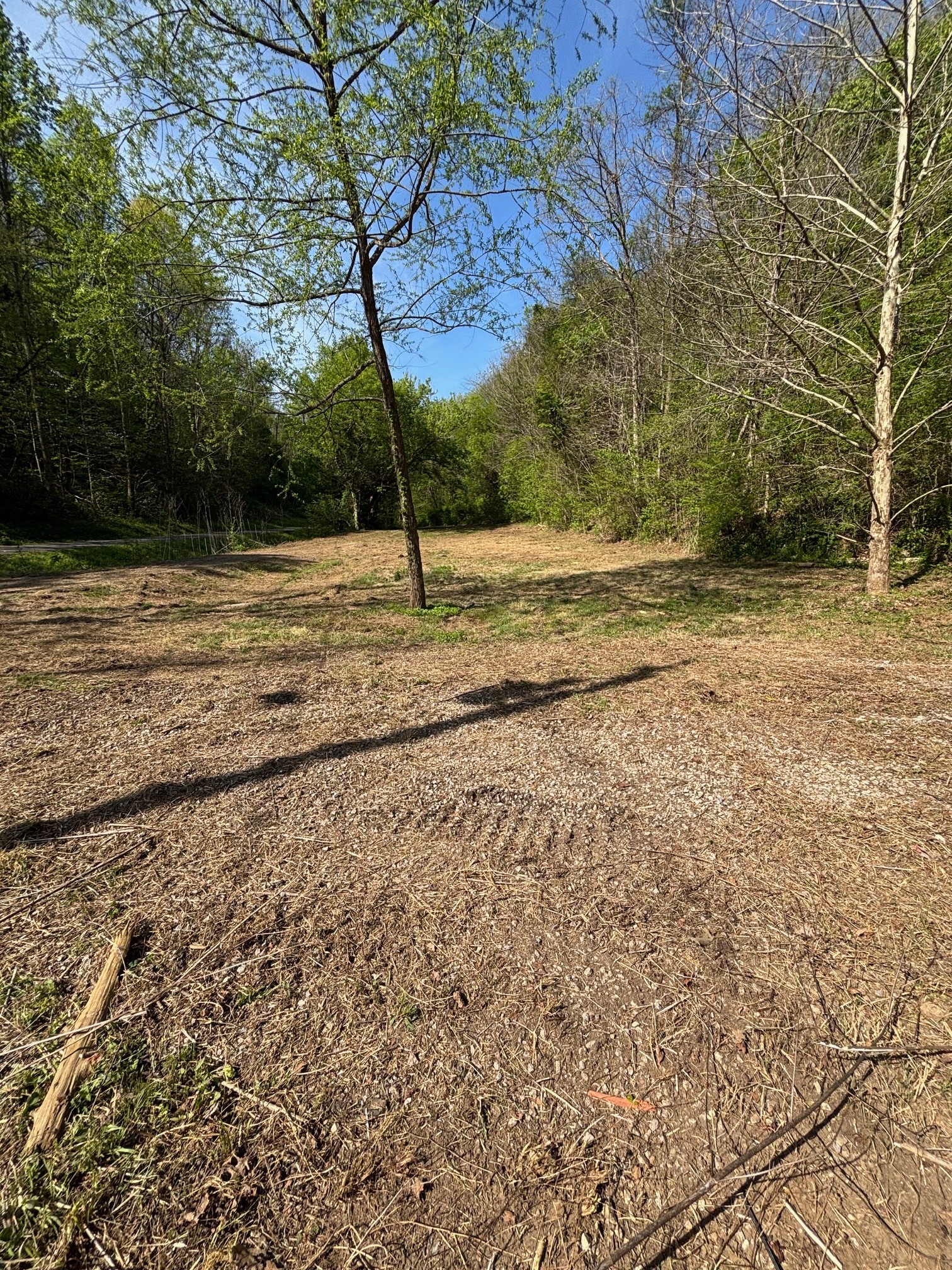 7792 Burns Road Christiana TN 37037