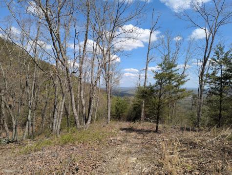 10 Escape Drive Evensville TN 37332