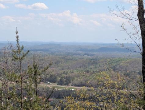 10 Escape Drive Evensville TN 37332