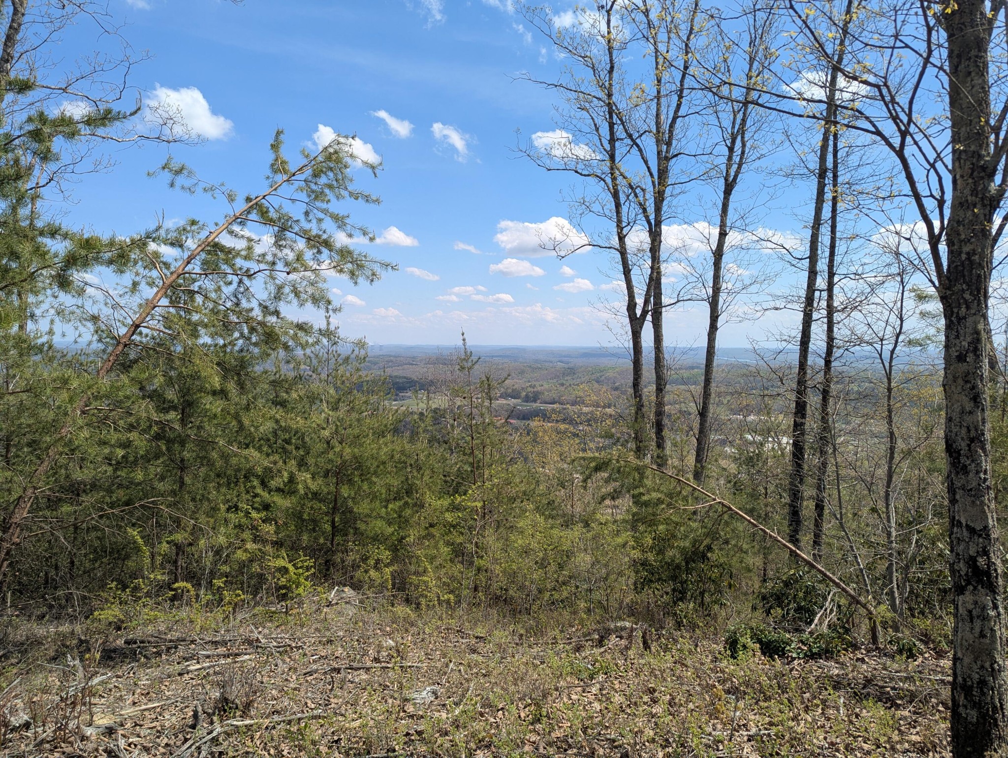 10 Escape Drive Evensville TN 37332