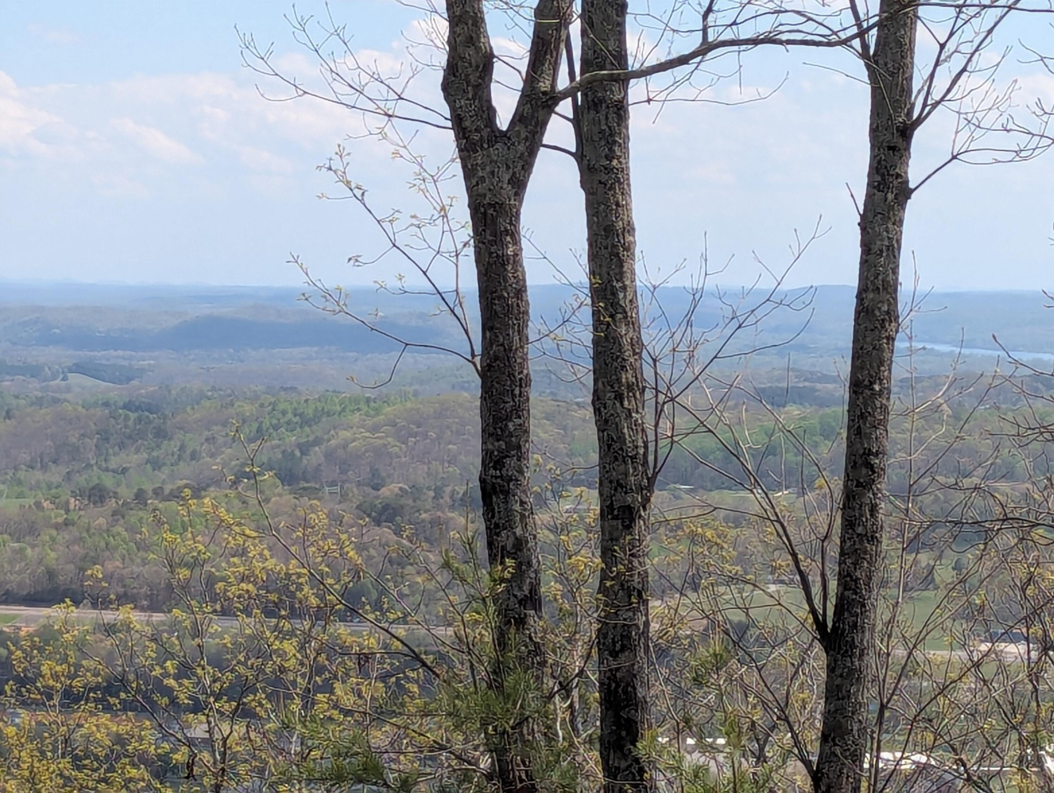 10 Escape Drive Evensville TN 37332