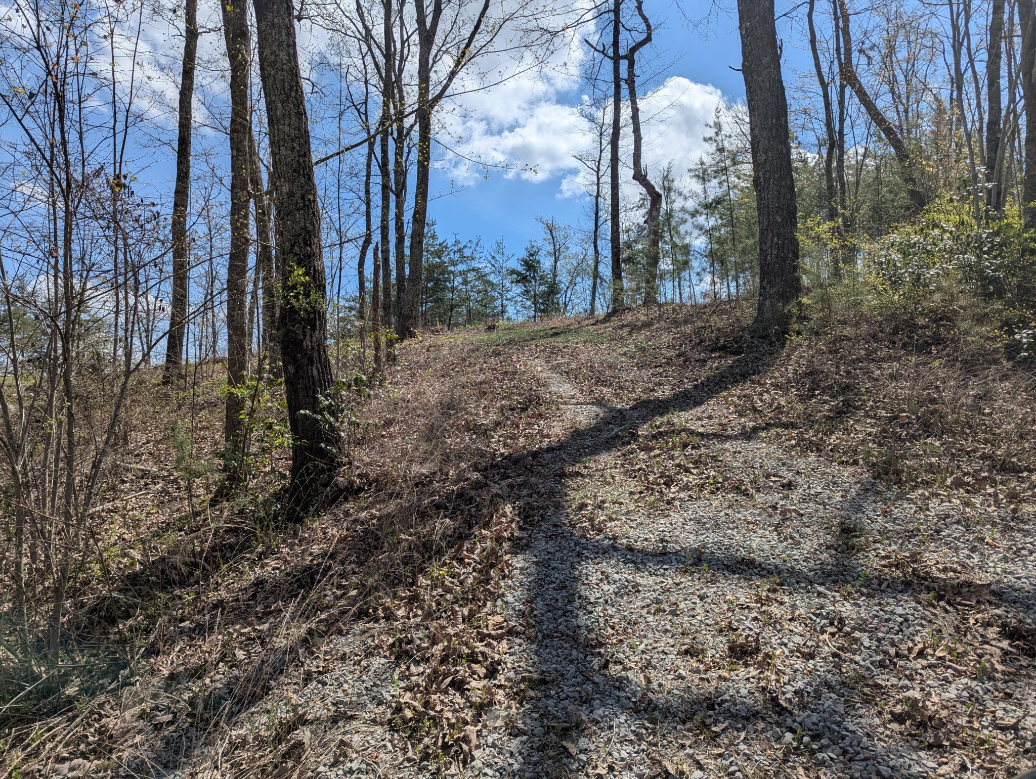 10 Escape Drive Evensville TN 37332