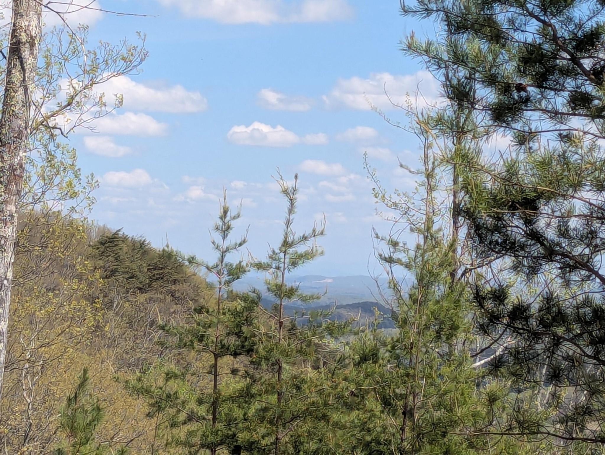 10 Escape Drive Evensville TN 37332