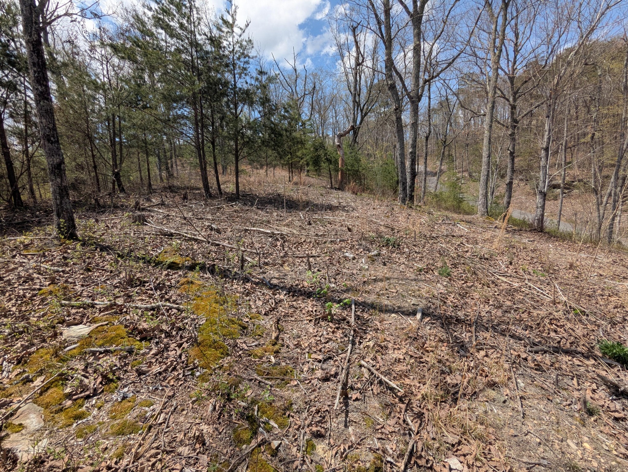 10 Escape Drive Evensville TN 37332