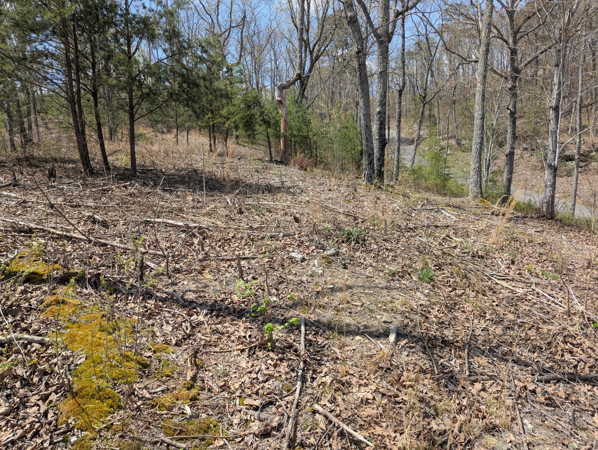 10 Escape Drive Evensville TN 37332