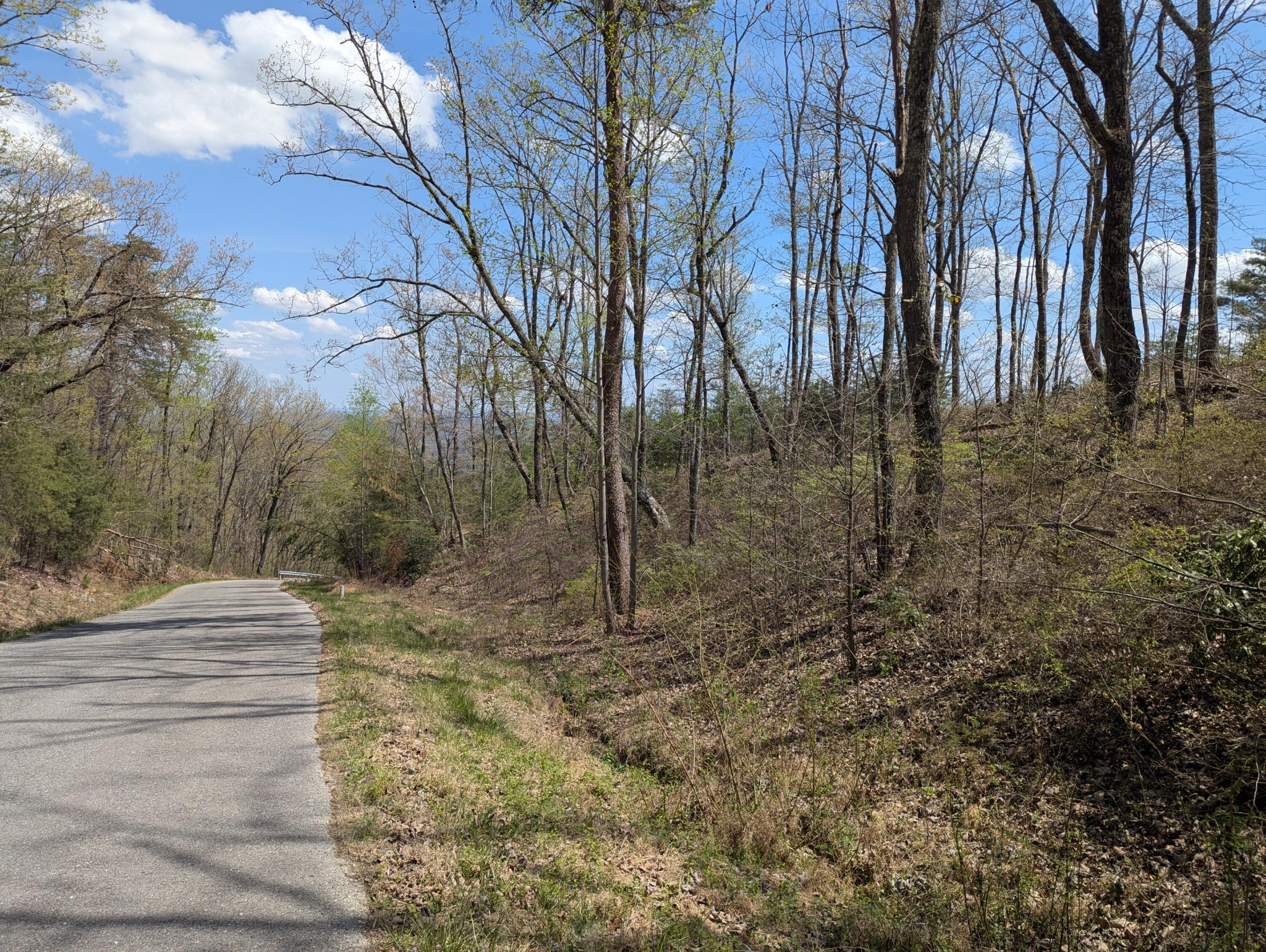10 Escape Drive Evensville TN 37332